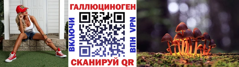 цена наркотик  Гвардейск  Галлюциногенные грибы мицелий 