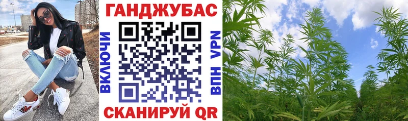Шишки марихуана ГИДРОПОН  гидра как войти  Гвардейск 